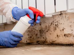 Best Residential Mold Inspection & Testing  in Briarcliff Manor, NY